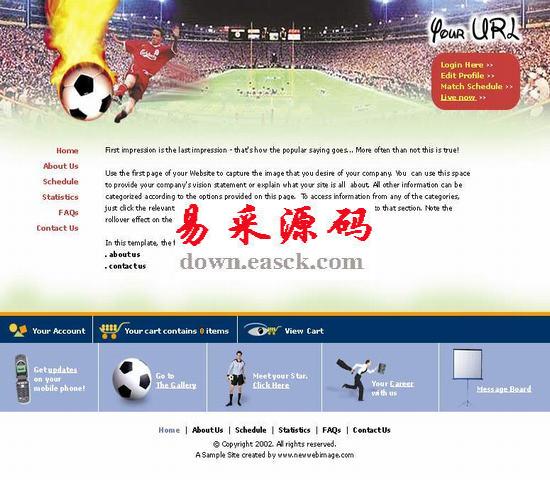 足球赛场网站模板