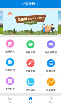 慧猪帮