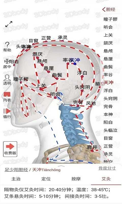 3Dbody经络穴位 3Dbody经络穴位