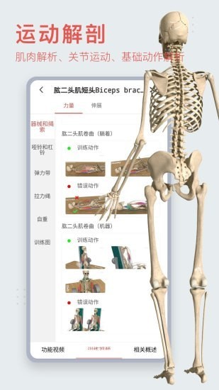 3Dbody艺用 3Dbody艺用