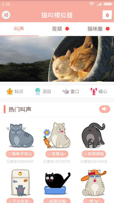 猫叫模拟器 猫叫模拟器