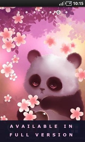 超萌熊猫动态壁纸 超萌熊猫动态壁纸
