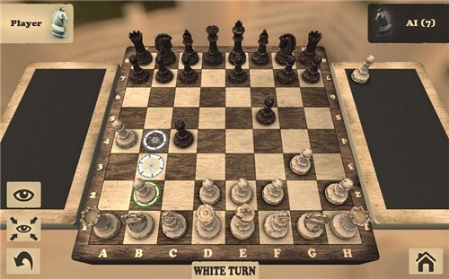 国际象棋破解版