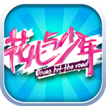 花儿与少年破解版