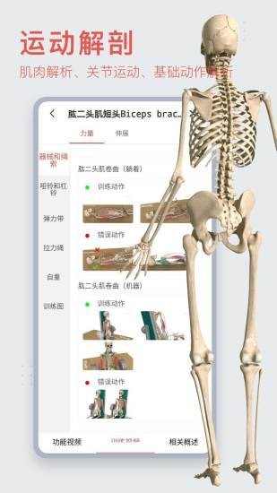 3Dbody艺用 3Dbody艺用
