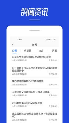 青鸽网 青鸽网