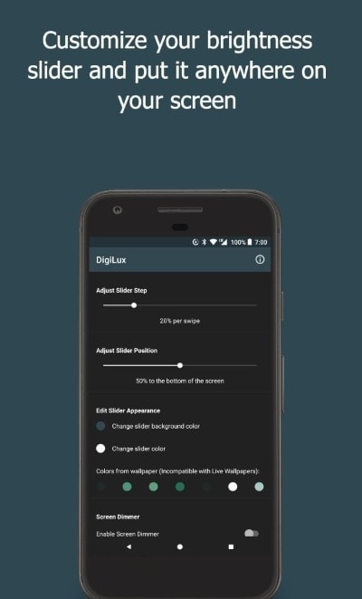 DigiLux DigiLux