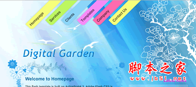 美丽数码拍摄类网站Flash片头源代码