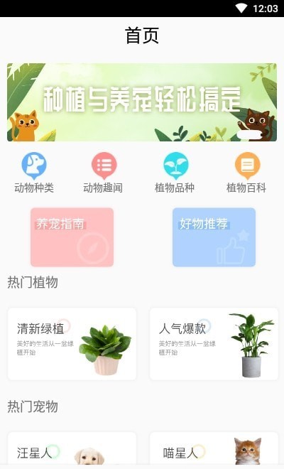灵通植物辨认