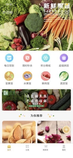 农佰鲜 农佰鲜