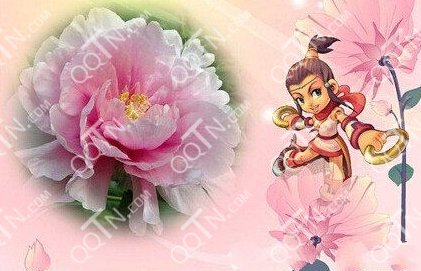 梦幻西游手游玫瑰花怎么快速获得 有什么用