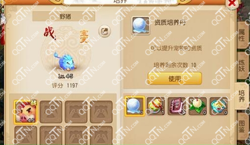 手游梦幻西游宠物栏怎么增加扩充 开启宠物栏费用