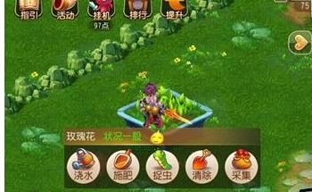 梦幻西游手游玫瑰花怎么样 玫瑰花种植技巧