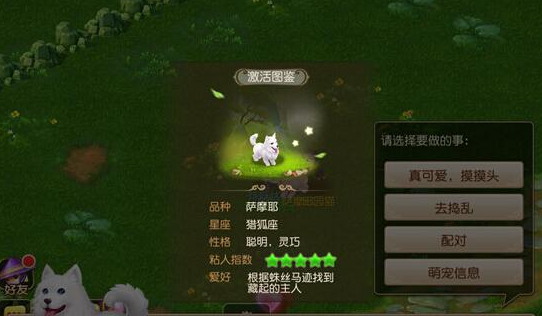 梦幻西游手游萌宠怎么得 萌宠饲养获得及饲养技巧