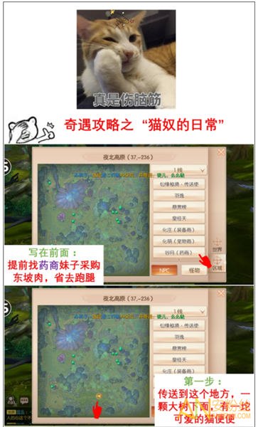 九州天空城3D手游奇遇森林救生灵通关攻略 奇遇任务攻略大全