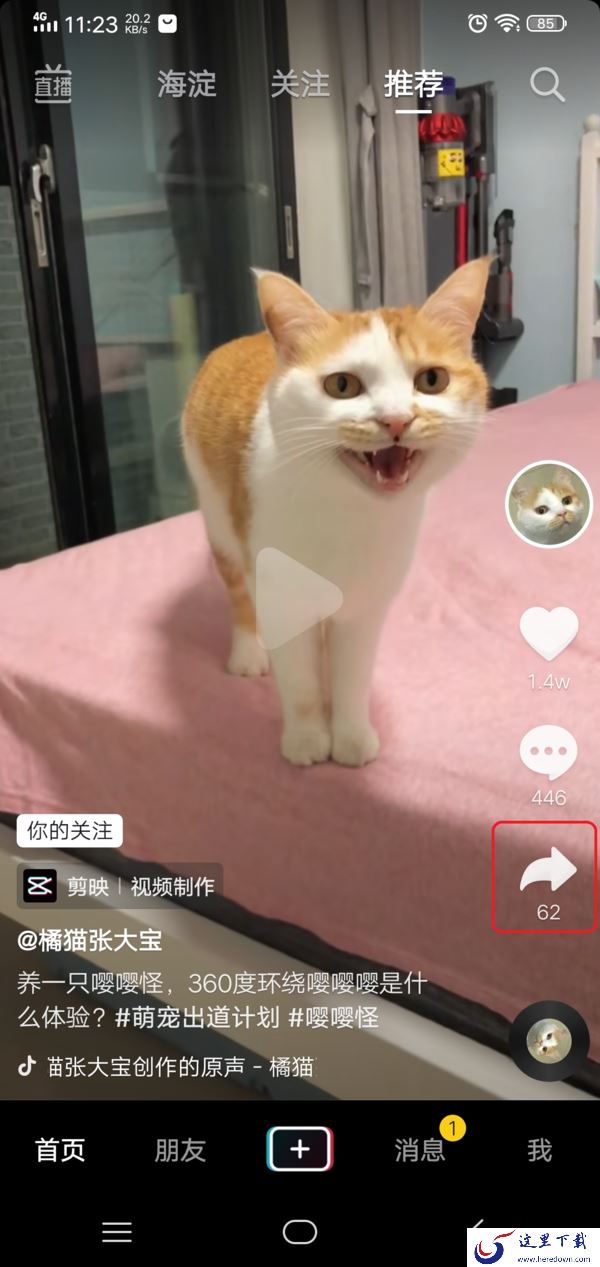 抖音怎么和好友一起看同一个视频？抖音一起看功能开启方法看这里！