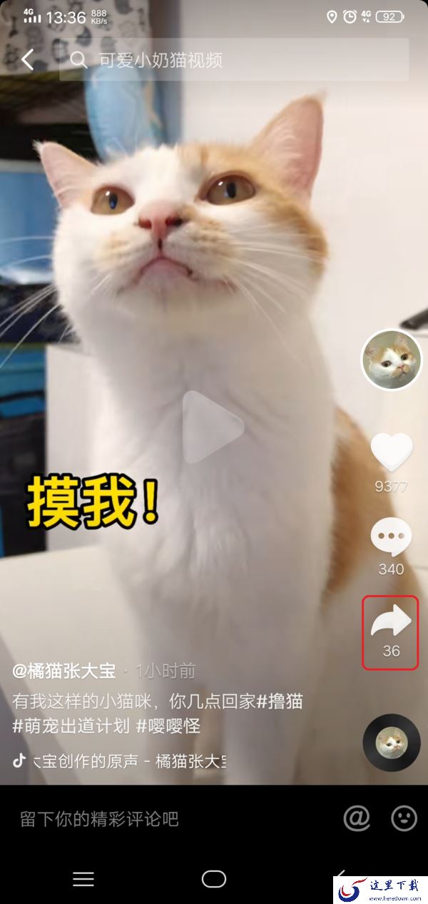 抖音怎么和别人一起合拍视频?学会它,日常拍摄的视频更加的好玩有趣!
