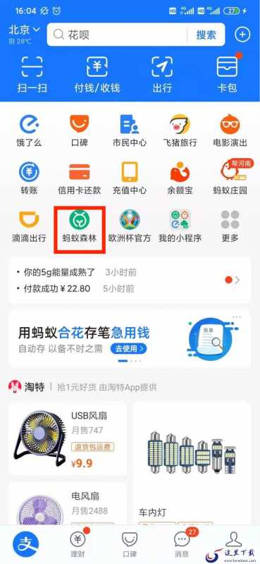 支付宝蚂蚁森林怎么获取能量?蚂蚁森林能量获取方法介绍