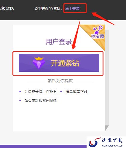 yy语音紫钻有什么特权_yy语音紫钻怎么开通