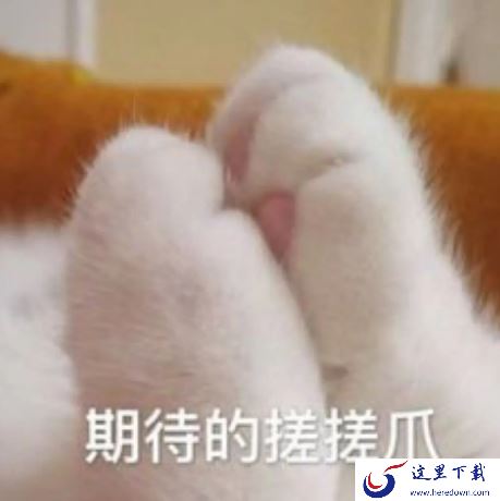 2022印象笔记双11有优惠活动吗_印象笔记双11有哪些优惠