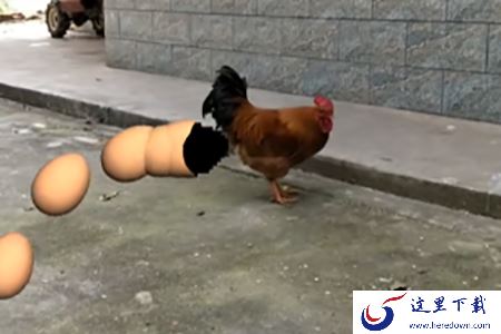 分享