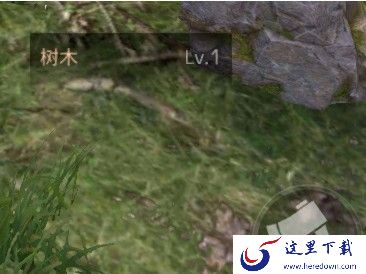 明日之后木头哪里买 木头怎么得[多图]图片3