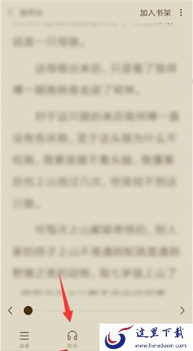 番茄小说