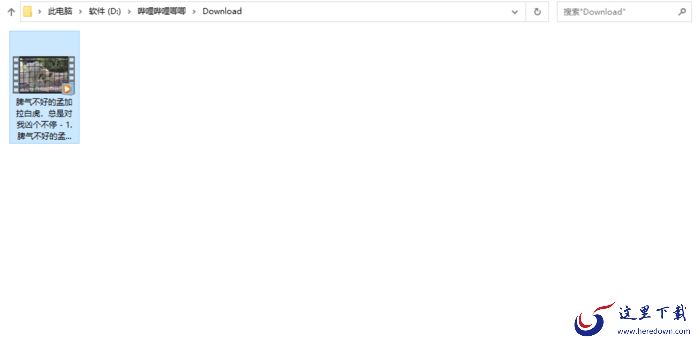 如何下载B站的视频？将B站视频下载到本地的方法