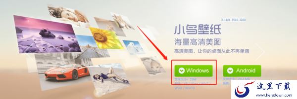 360小鸟壁纸下载方式_360小鸟壁纸功能解析