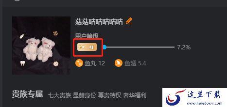 斗鱼直播间礼物特效能不能关掉_等级怎么看