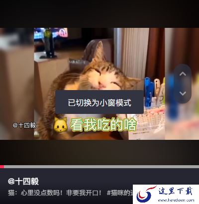 抖音电脑版如何设置青少年模式_抖音调整小窗模式