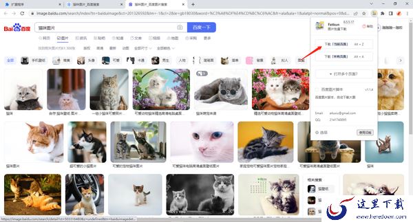 谷歌浏览器怎么恢复已关闭的网页_怎么批量下载图片