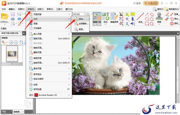 金舟PDF编辑器怎么添加水印_怎么添加页码