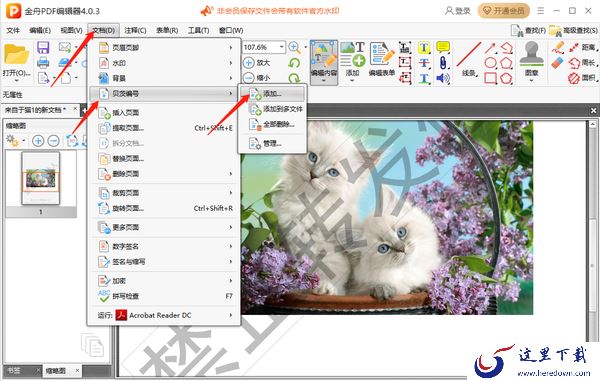 金舟PDF编辑器怎么添加水印_怎么添加页码