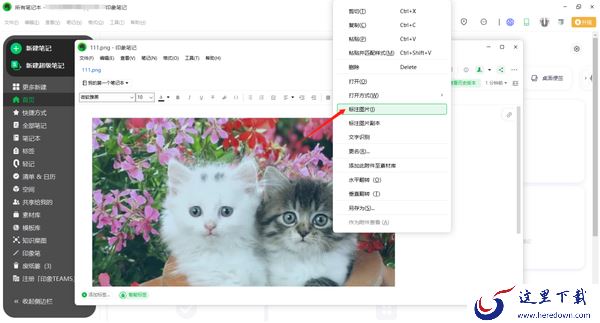 电脑版印象笔记怎么给图片进行标注_标注功能介绍