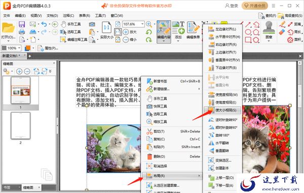 金舟PDF编辑器怎么设置文本行距_怎么添加图片背景