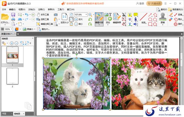 金舟PDF编辑器怎么设置文本行距_怎么添加图片背景