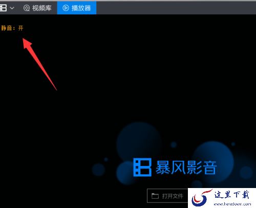暴风影音电脑版如何进入静音模式_暴风影音快速切换音轨的步骤