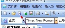 WPS文档如何加密 WPS文档如何加密