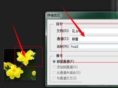 磁性套索工具在选区中怎么应用