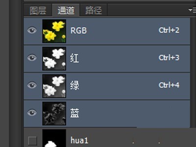 磁性套索工具在选区中怎么应用