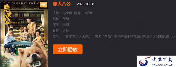 导盲犬小Q电影在哪免费观看_催泪萌宠电影推荐