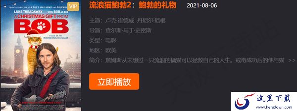 导盲犬小Q电影在哪免费观看_催泪萌宠电影推荐
