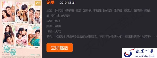 导盲犬小Q电影在哪免费观看_催泪萌宠电影推荐