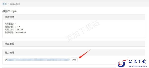 BT下载器怎么使用_比特彗星下载器使用教程详情