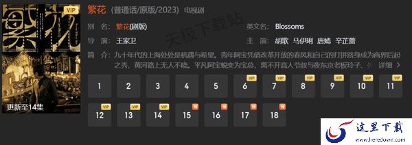 繁花是什么类型的电视剧_繁花到底讲了什么内容