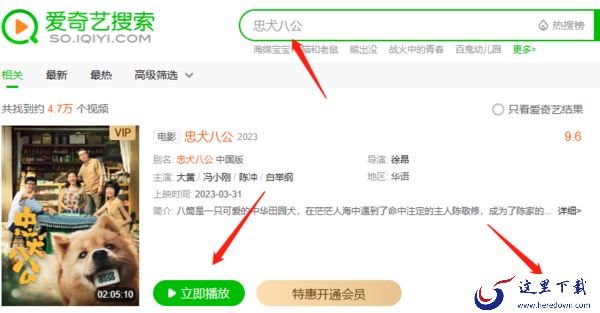 国产版忠犬八公和原作有区别吗_忠犬八公在哪能下载缓存