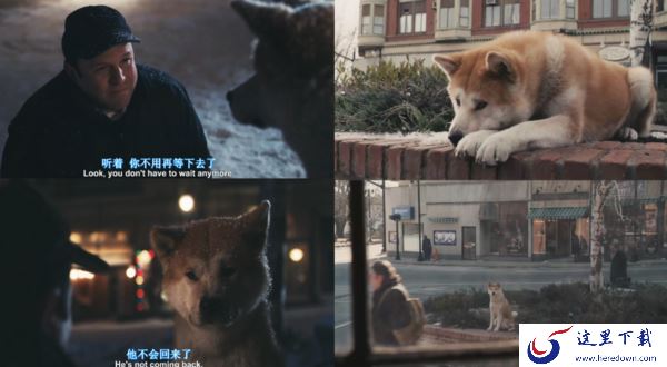 国产版忠犬八公和原作有区别吗_忠犬八公在哪能下载缓存