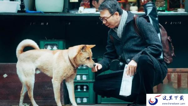 国产版忠犬八公和原作有区别吗_忠犬八公在哪能下载缓存