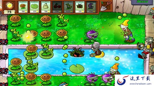 植物大战僵尸年度版与普通版有什么区别？主要在这三点！